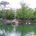 Большой пруд в Алупкинском парке