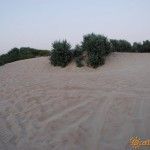 Витязевские дюны