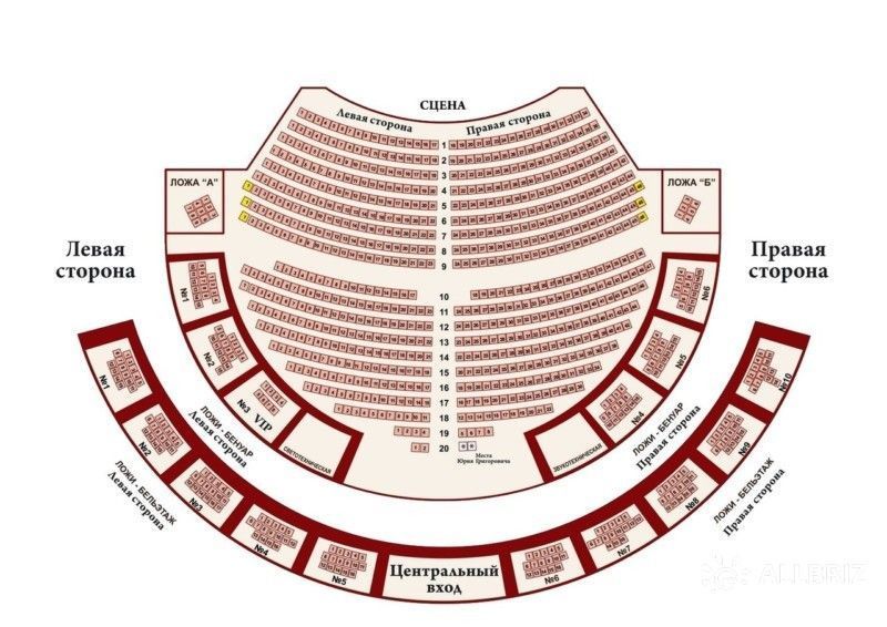 План зрительного зала Зимнего театра