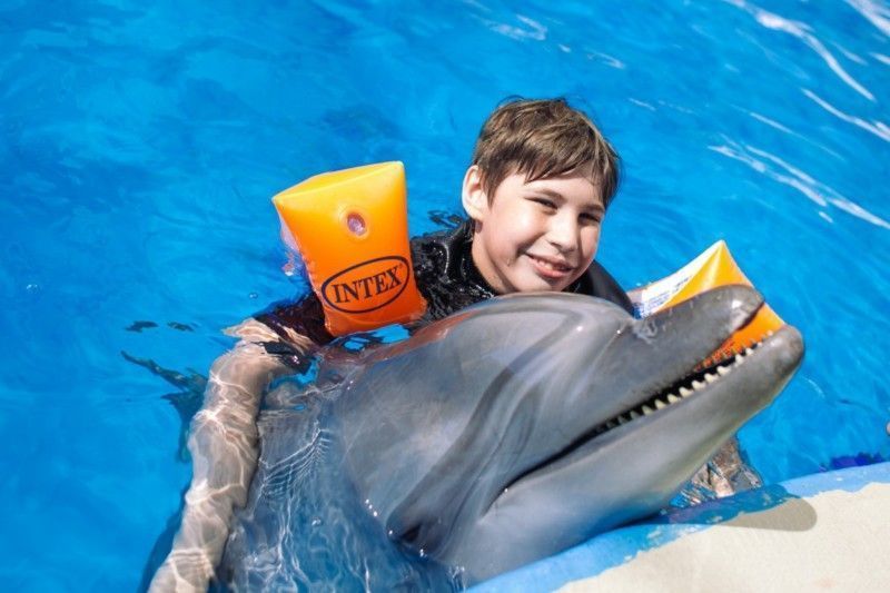 Дельфинотерапия в анапском дельфинарии «Немо»